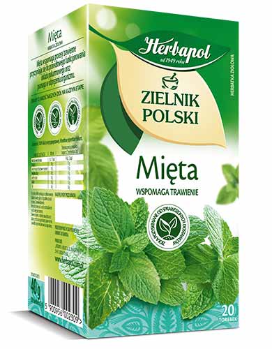 Herbata HERBAPOL ZIELNIK POLSKI 20Tx2g, mięta, GHK0430