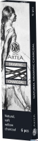 Wgiel naturalny rysunkowy Astra Artea 6 sztuk 6-8mm, 323115003